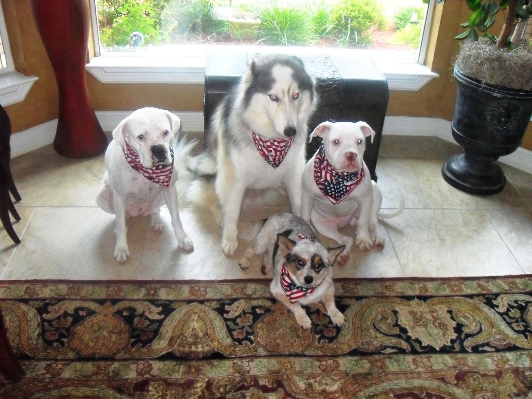 Guess which one is the "little" troublemaker!