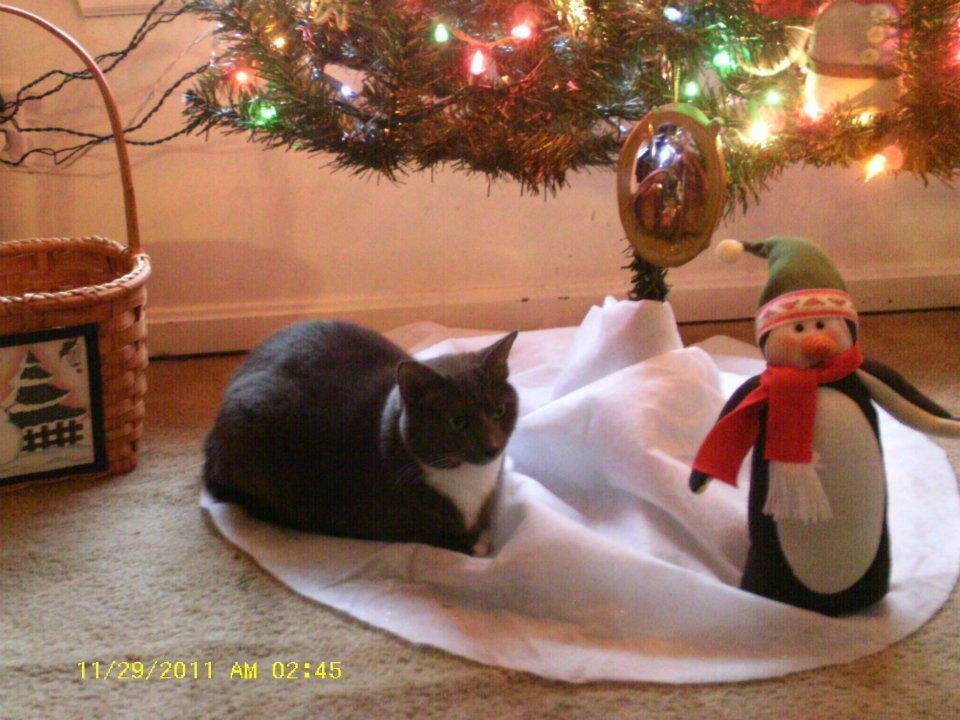 Steven Bean's album, Christmas 2011