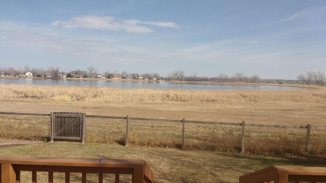 Back yard chilling. This is the life might just stay.