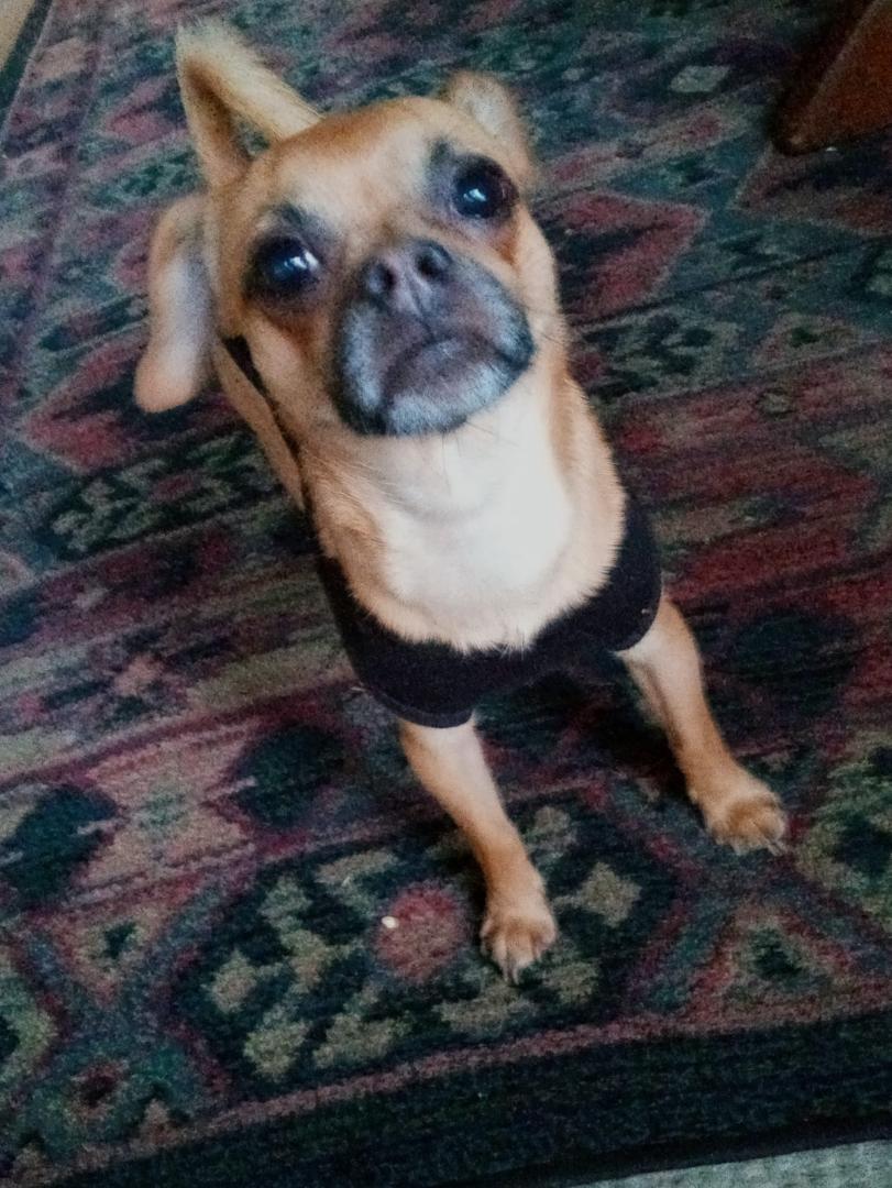 I love him soooo much !