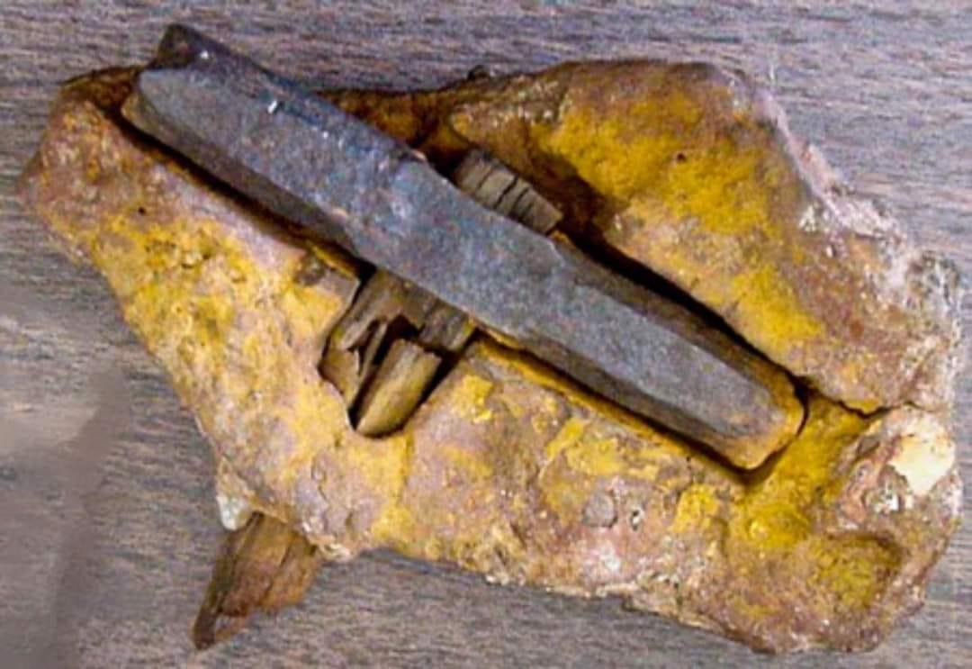 The London Hammer, discovered in 1936 in Texas, is a controversial out-of-place artifact that appears to be a 19th-century tool encased in rock purportedly dating to the Cretaceous period, sparking debate. This intriguing f