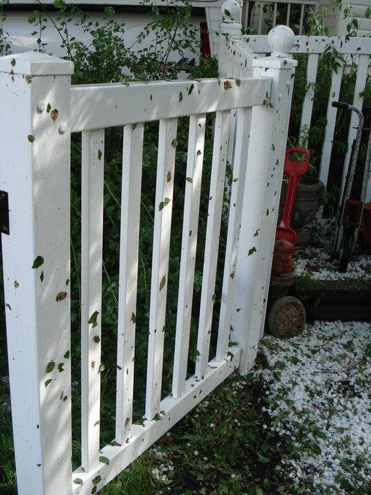 Debra Fowler's album, June Hail Storm