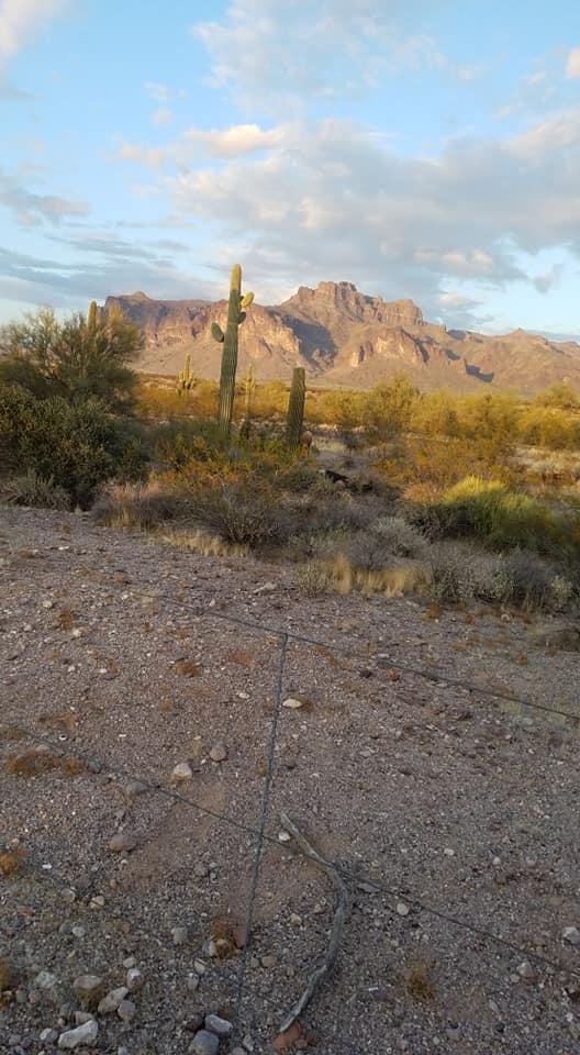 William Bates' album, Mobile Uploads