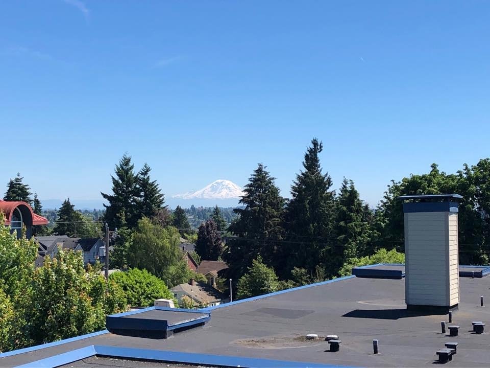 Another beautiful day in Seattle. My Rainier is in background. Pic taken from apartment rooftop patio area.