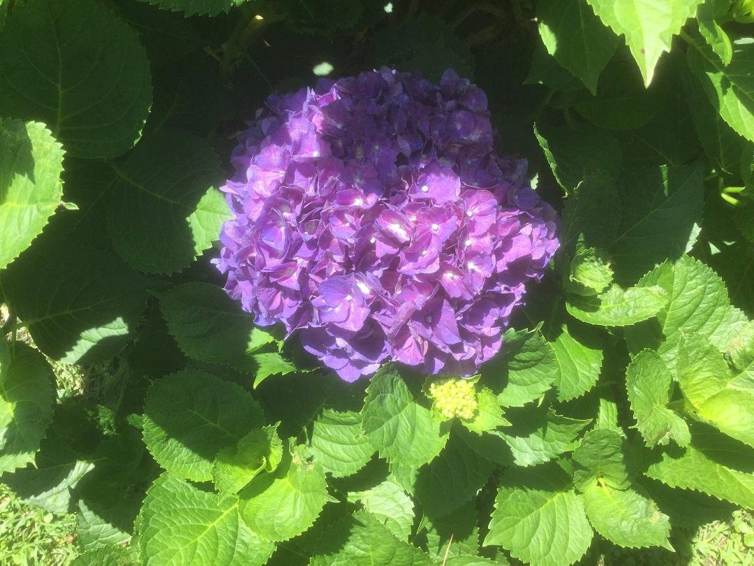 GERALDINE WILLIAMS's album, Timeline Photos