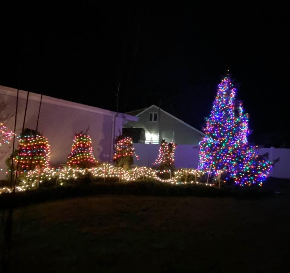 Amity Harbor Civic Christmas tree lighting 2020