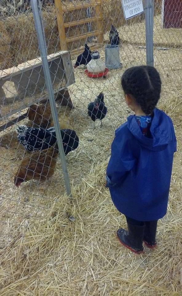 My girl at the pumpkin patch we had fun yes i went with her and her class from daycare