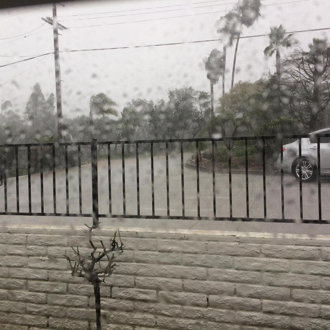Where did Sunny California go!?!?