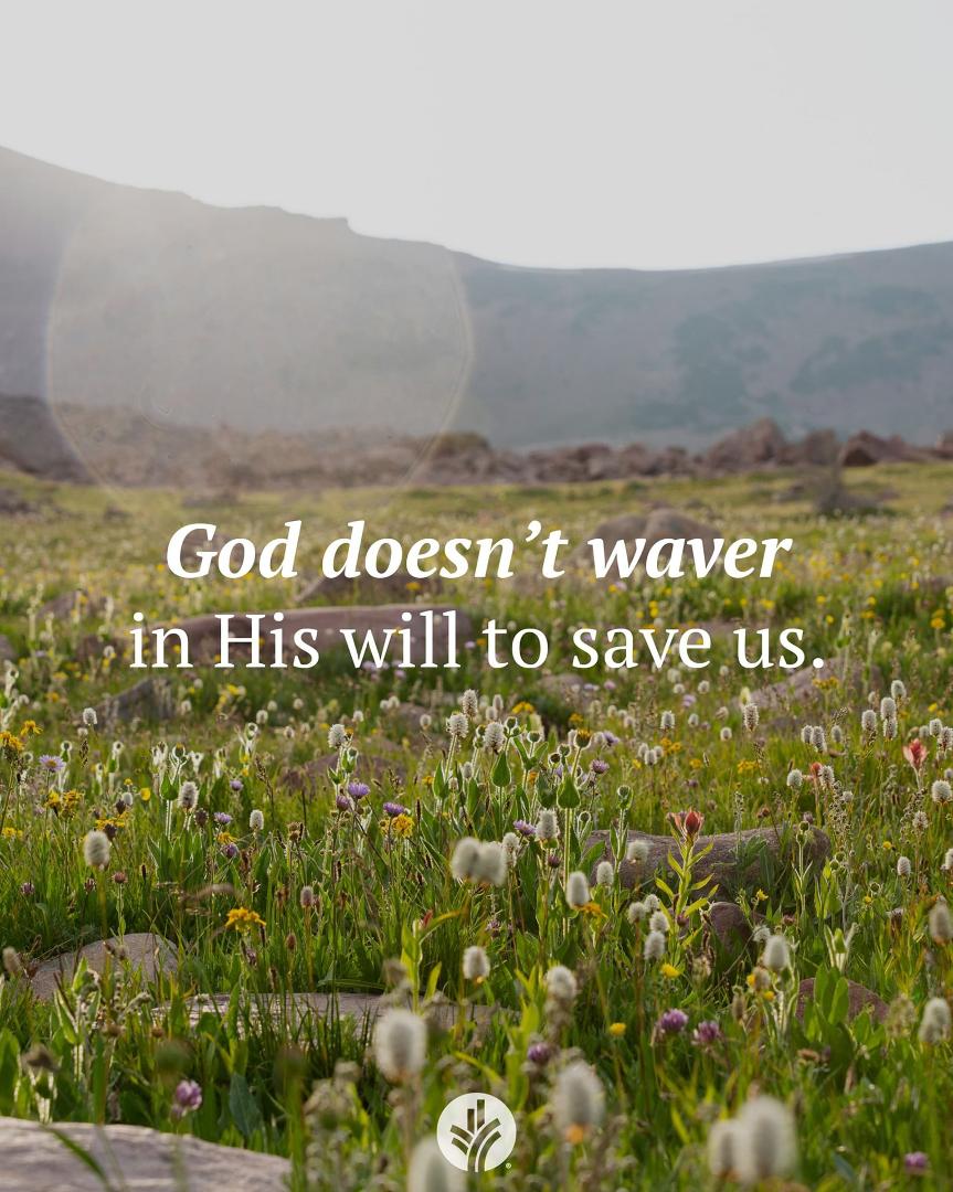 When have you felt that what God provided didn’t live up to your expectations? What helps you to trust Him?
Dear God, because You’re steadfast and unwavering in Your will to save, I know I can trust You to do what’s best.