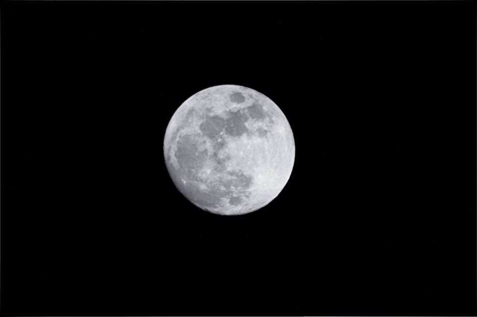Last night's moon -- photo taken by my friend Laura Griffin-Stewart.
Also posted her comments about tonight's lunar eclipse and comet.
Thanks LAURA!!