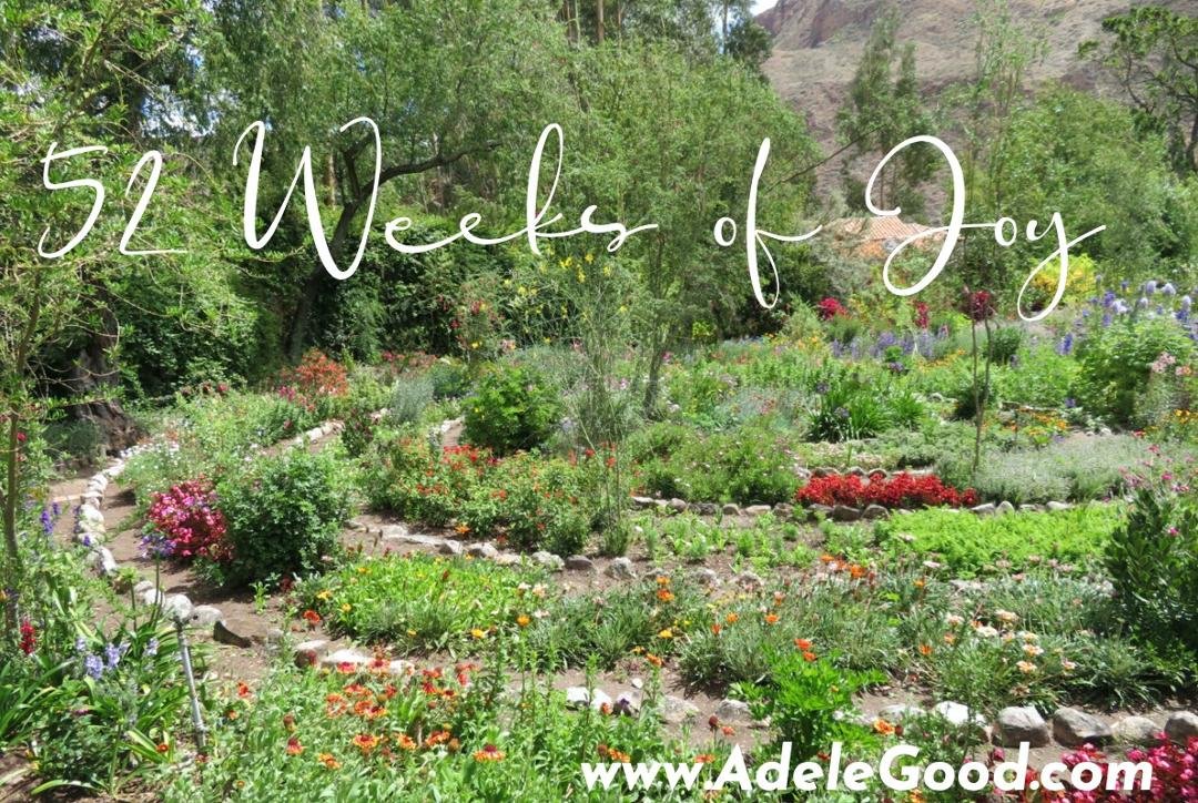 I've been guided to start something new to spread more JOY around the world - 52 Weeks of Joy.. check it out!