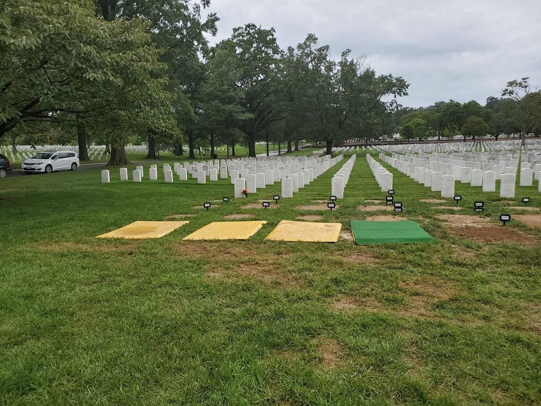 they will be placed under the green tarp