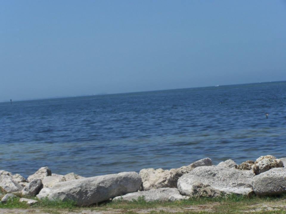 dipped feet in the gulf here