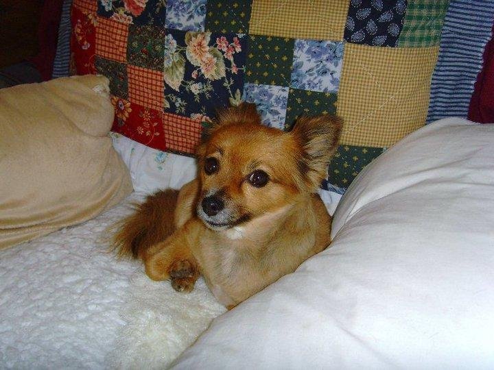 Kathy Warner's album, Sissy