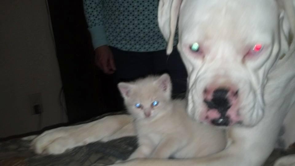 New baby