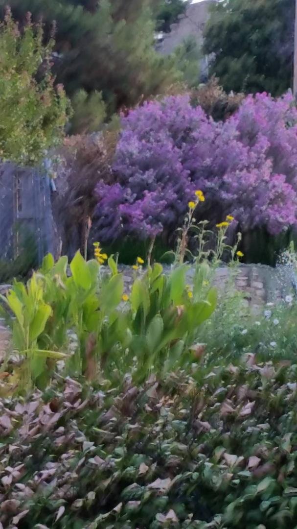Jon Helm's album, Mobile Uploads