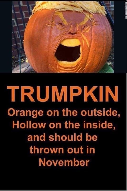 Just had to share!!!