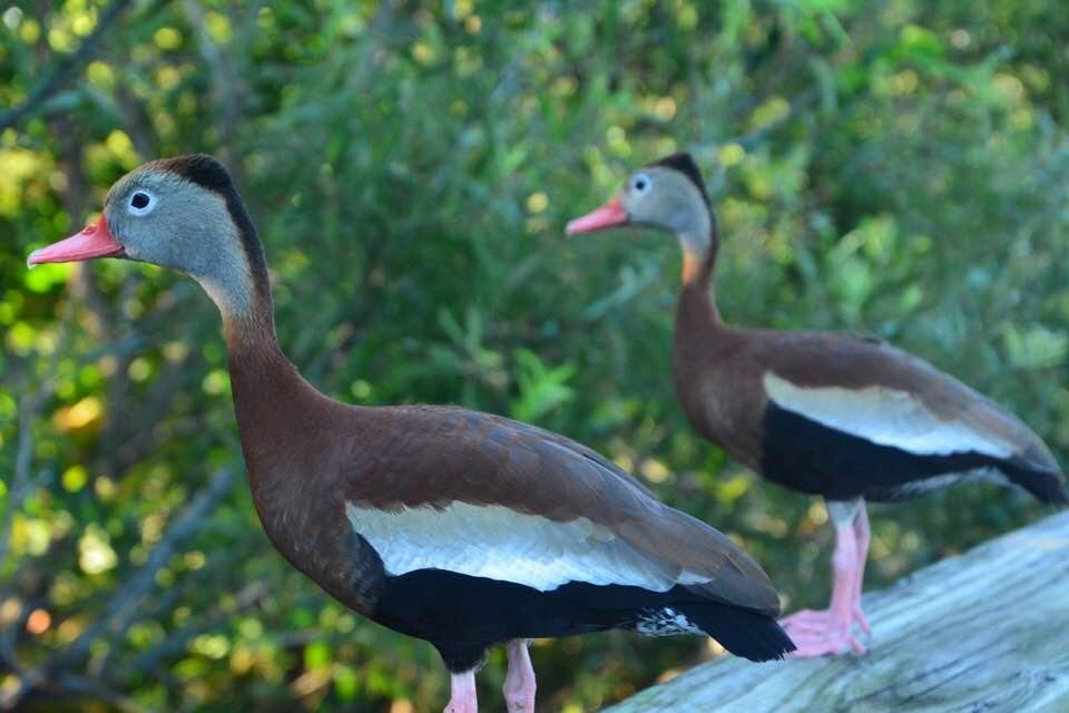 Larry Feller's album, Timeline Photos