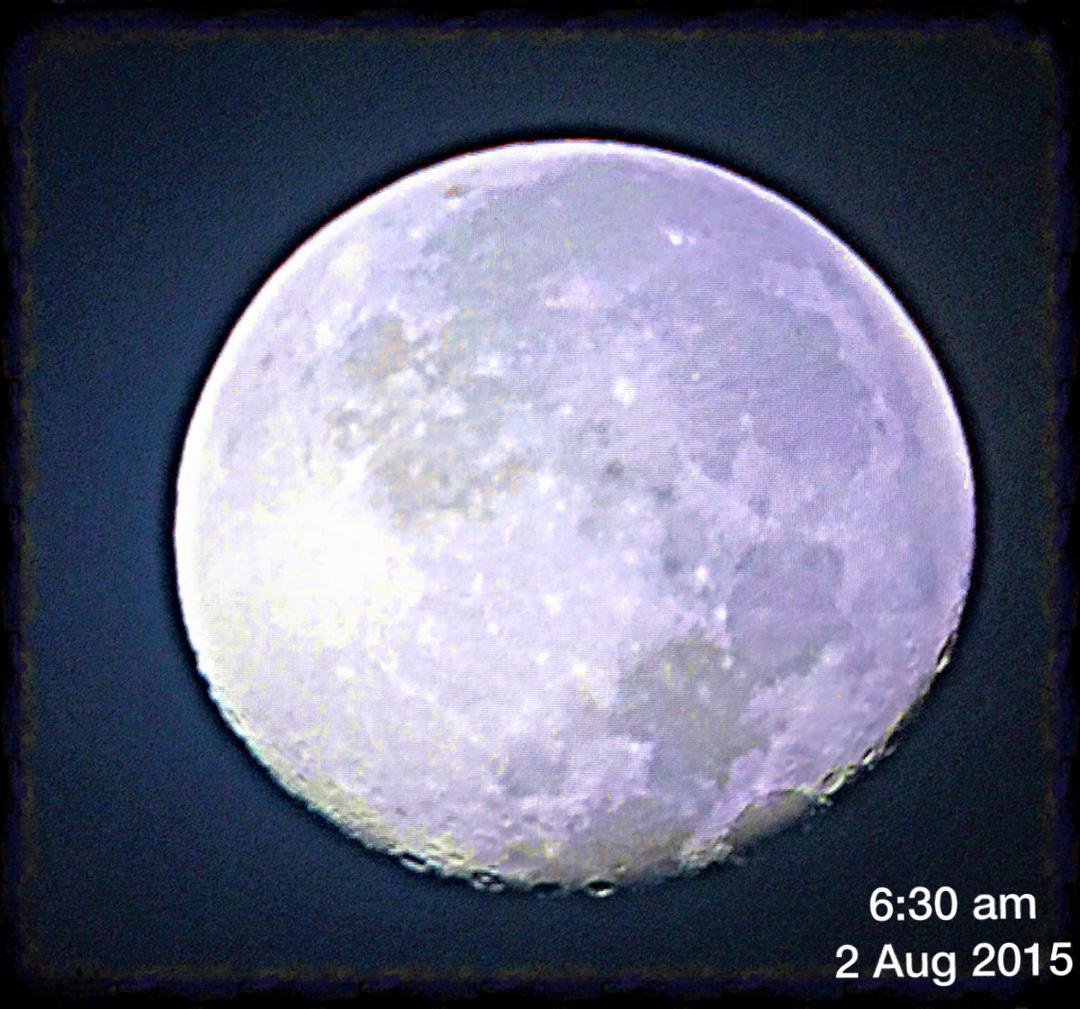 Happy Sunday everyone! I missed the "Blue Moon" on July 31st, but snapped this pic early this morning when I took the dog out. Still beautiful even if it's no longer technically a blue moon, which is the second full moon