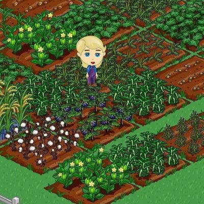 - FarmVille: http://apps.facebook.com/onthefarm/?ref=takePhoto&visitId=1463324160
