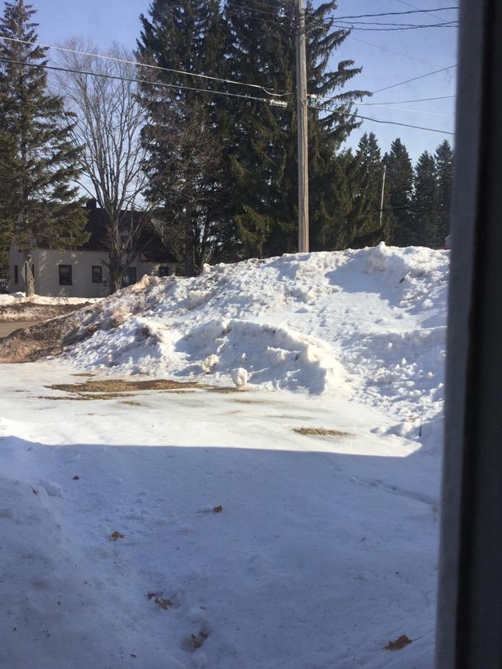 Snow bank outside my window this morning