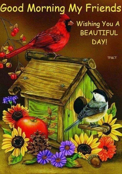 Charles Iliff's album, Timeline Photos