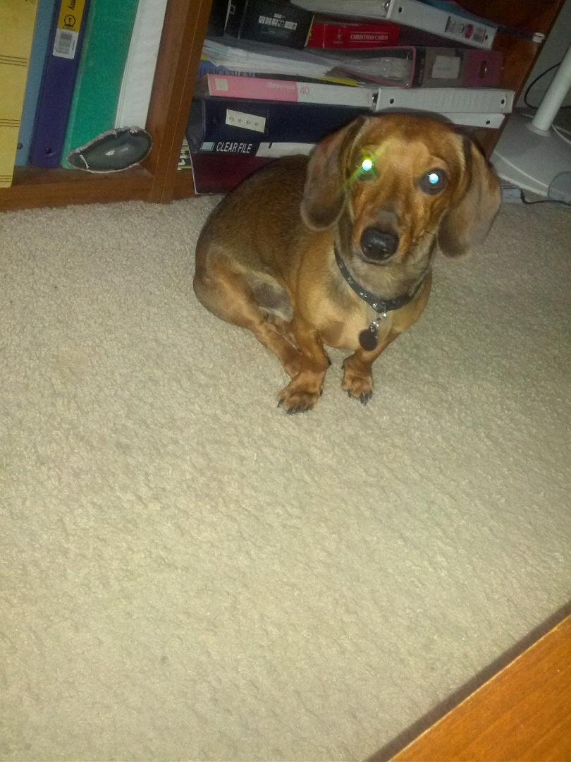 My baby