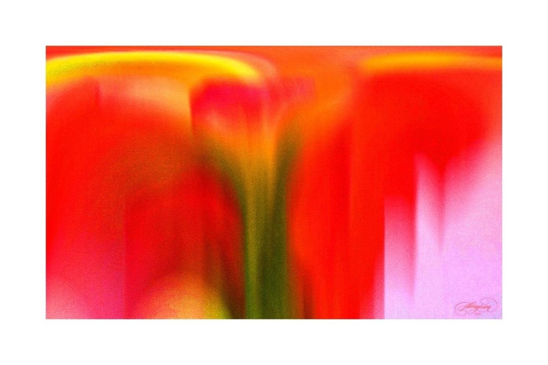 One of our Dad's abstract images he created and sent to me this am. Just a little gift to counter winter blizzard, blues. He said, "Here is a glimpse of an early spring!" Love it! After all snow is great for the bulbs!