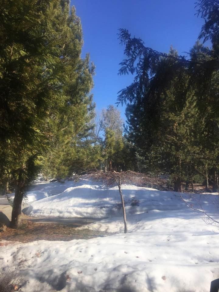26•
C'monnnn spring, hurryyy.