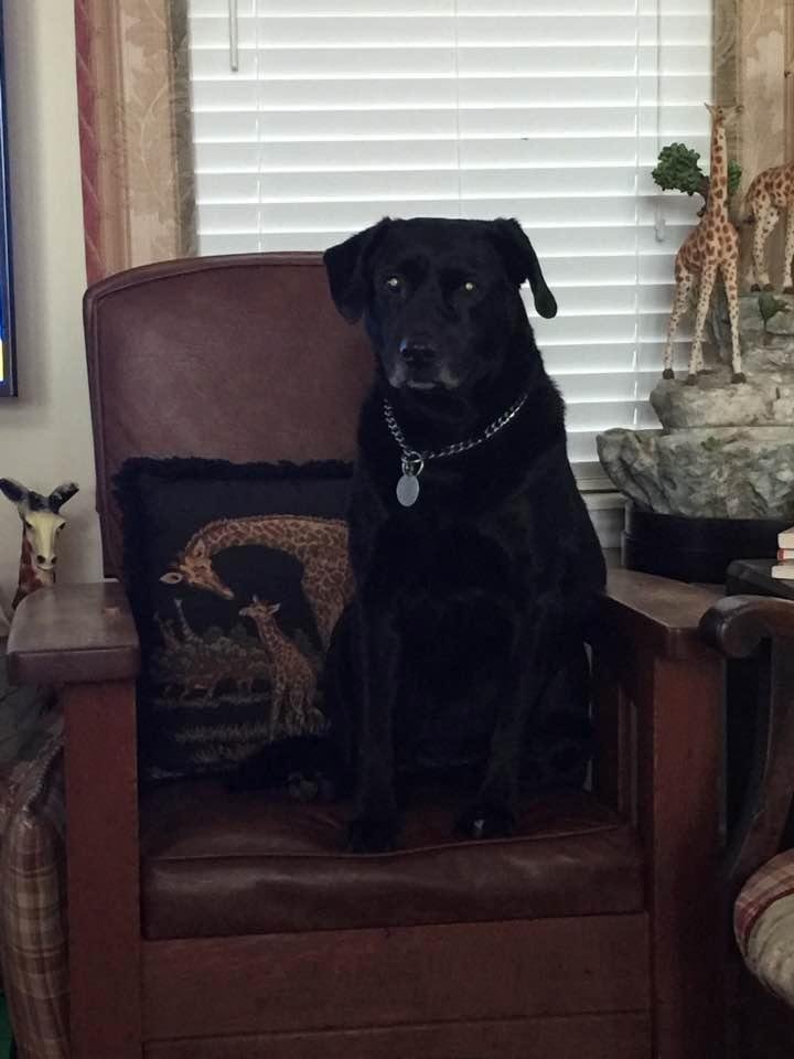 Maggie watching TV with Dad!