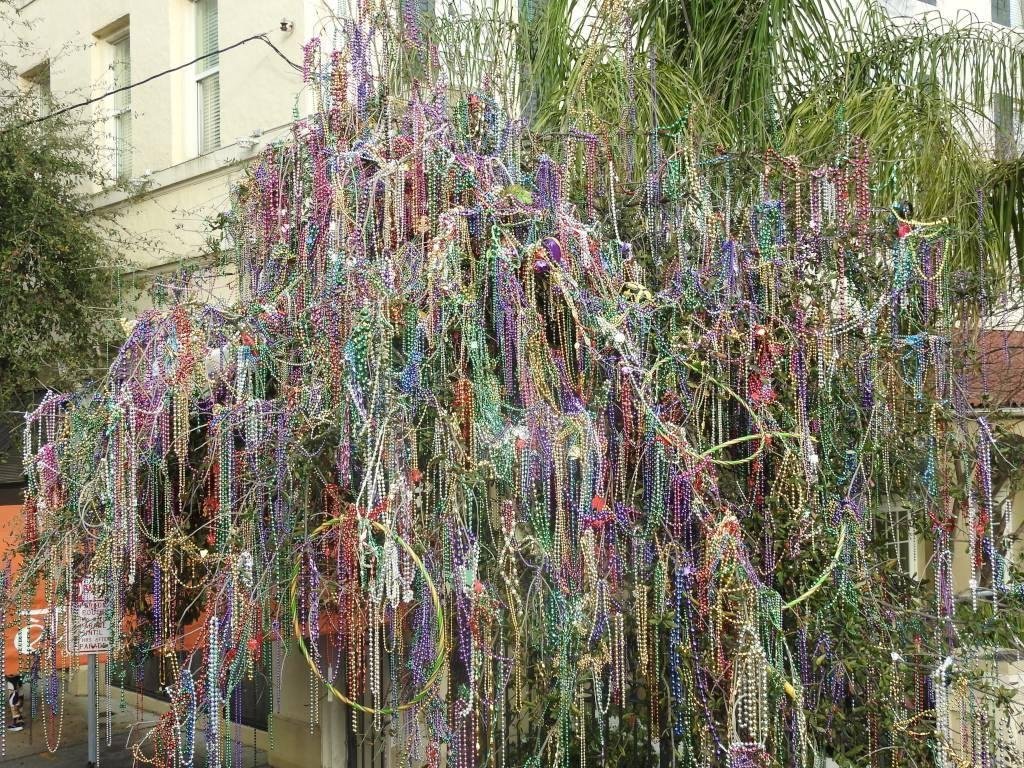This is a very rare beadtree I saw in New Orleans during Mardi Gras.