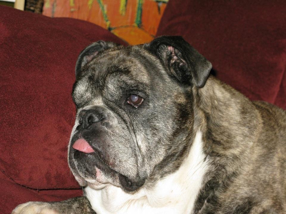 Larry Freeman's album, Mobile Uploads