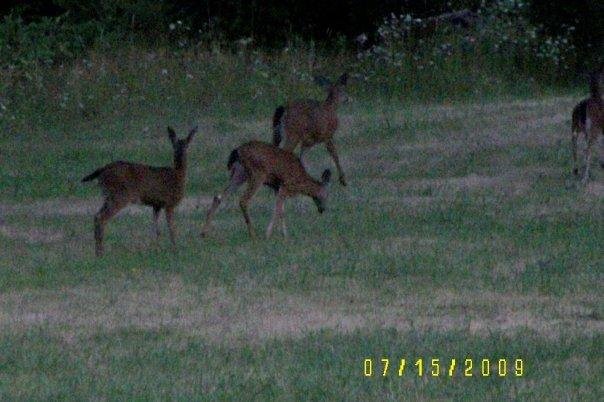 Another pic taken on one of my walks.