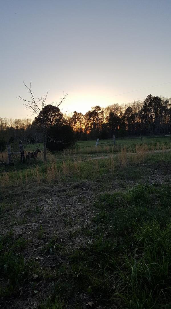 The sun going down..