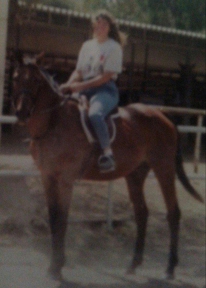 Sarge the horse I had from 2000-2003. He is 38 and lives in Pear Blossom