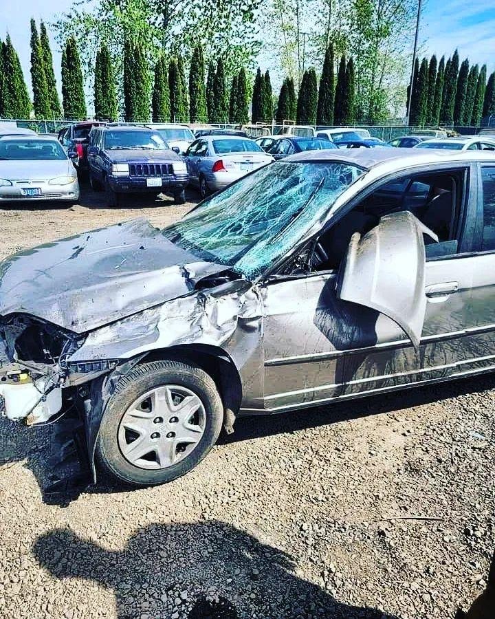 Ryan Pearce's album, Timeline photos