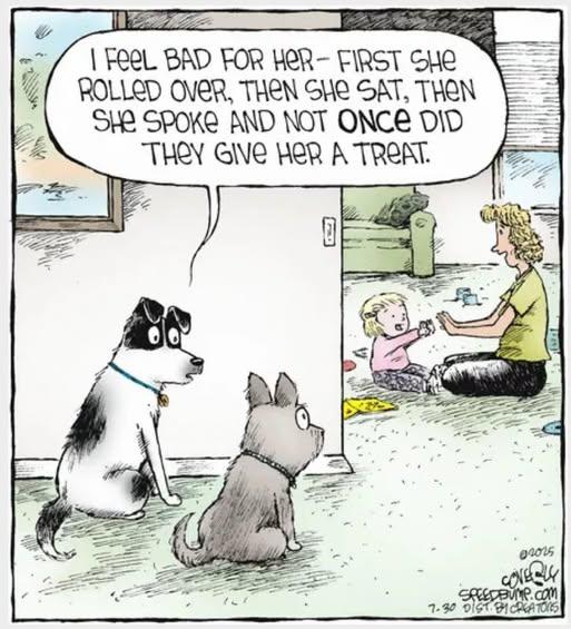 No treat???