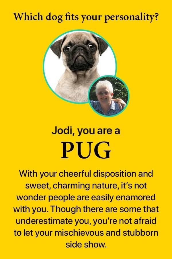 Jodi Bernhardt's album, Mobile uploads