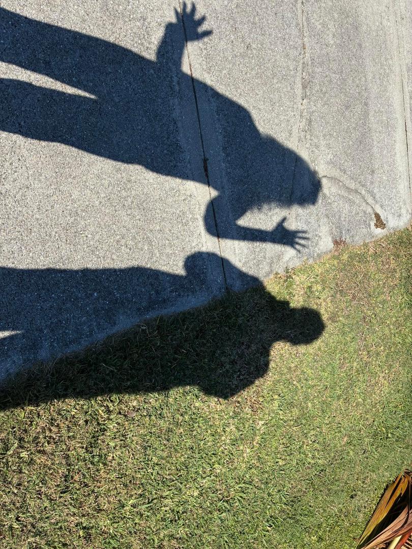 Me and my Shadow  LOLOL