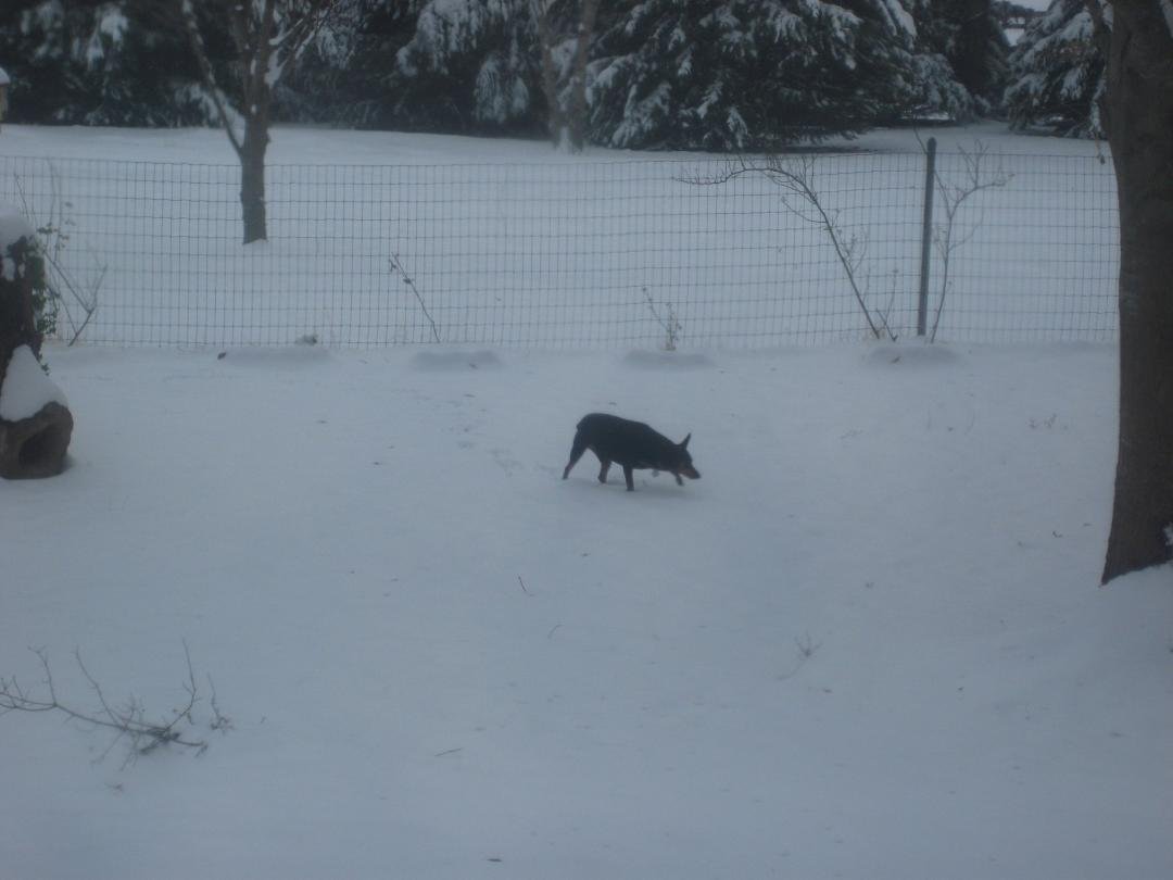 Come on springtime