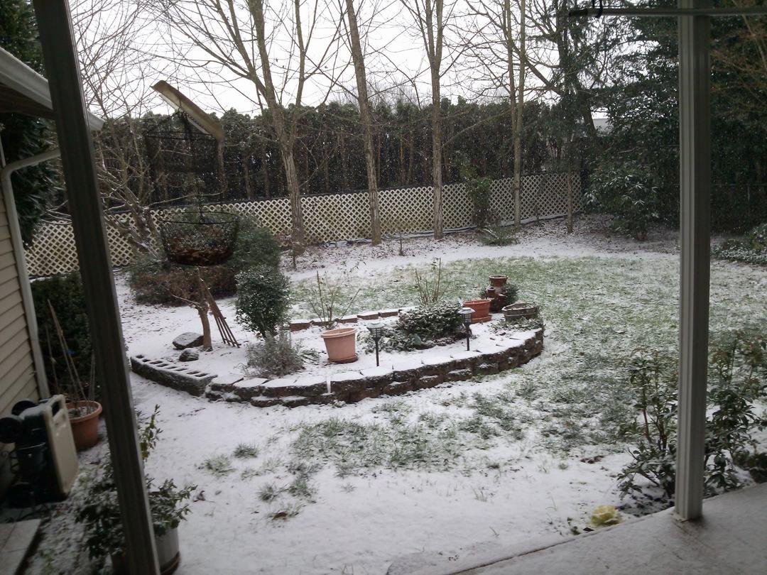 Hey, my family in Texas and California and Hawaii.  Its snowing in canny or.