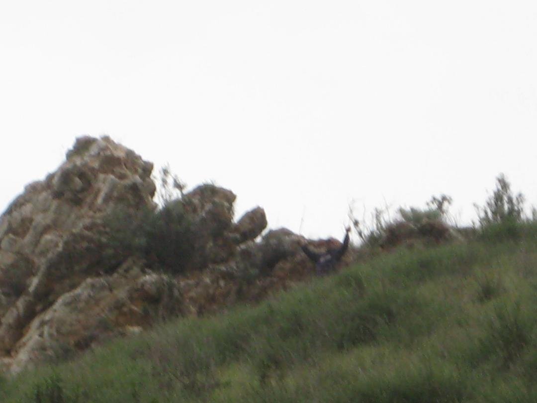 If you look really close. You can see Bob made it to the rock. Saw some pretty crystaline formations while up there.