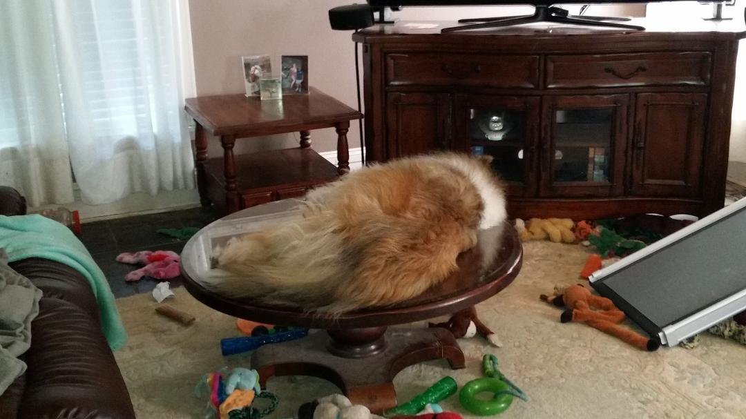Madeline has had a busy day!