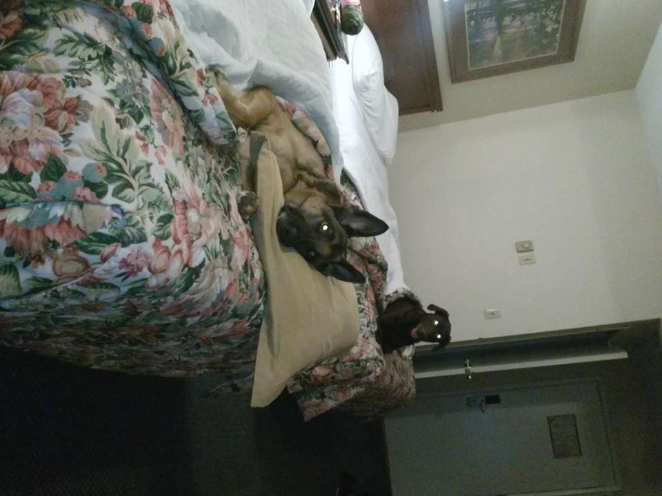 cooey and daisy chillen in bed