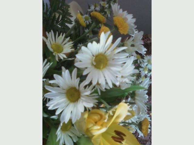my mom;s day flowers <3