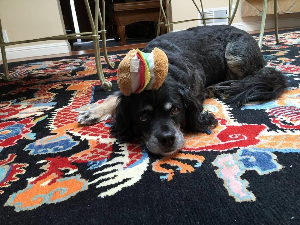 With my hamburger on my head