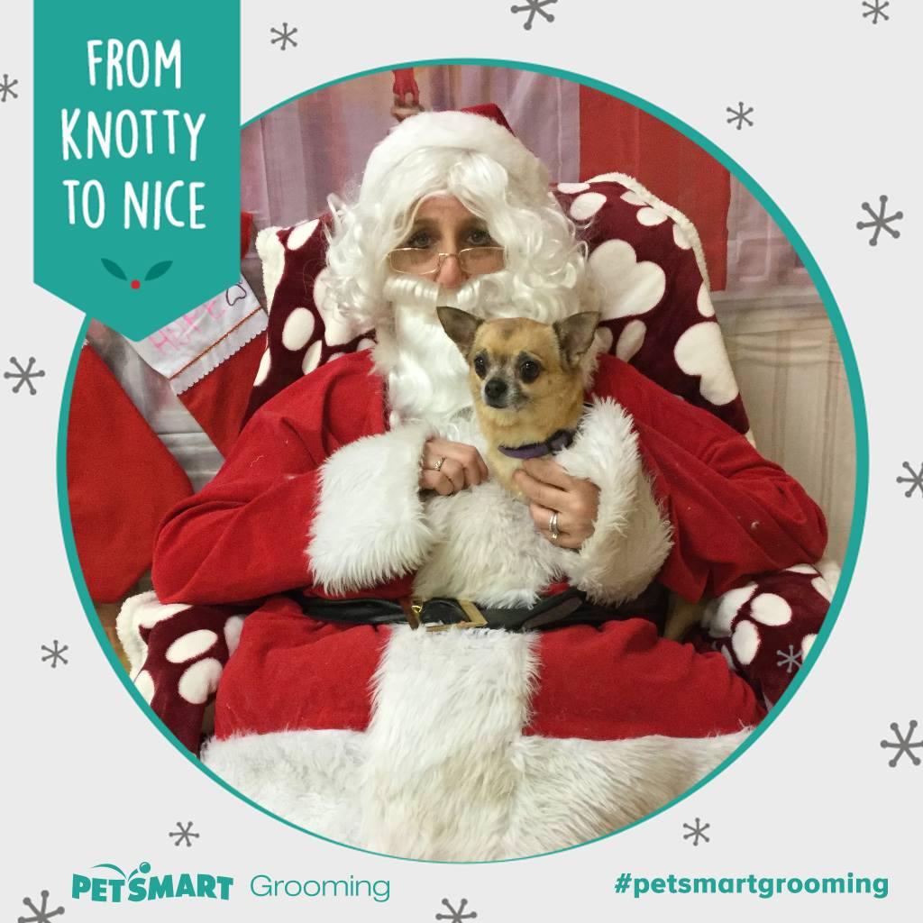 Ginger with Santa being a great beliver