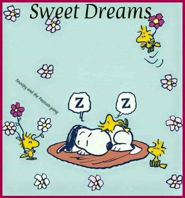 Sharon Beaver's album, Timeline Photos