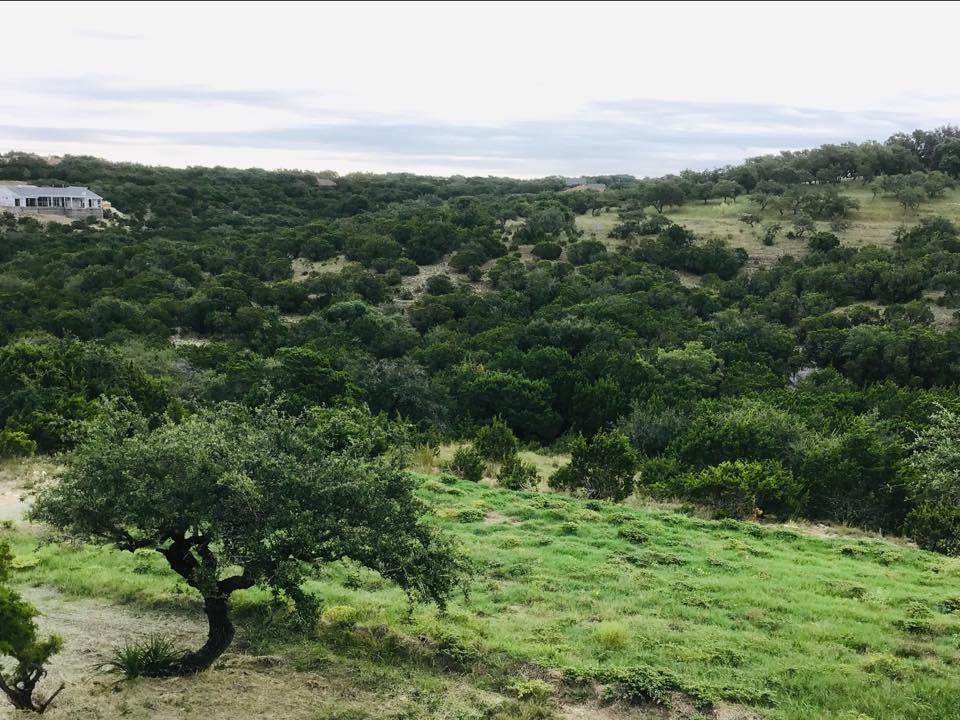 Fall Morning in the Canyon - enjoying the view from our back porch on this cool, crisp fall morning!