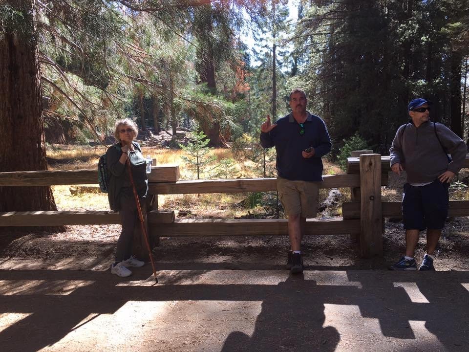 Pat Gill's album, Mobile Uploads